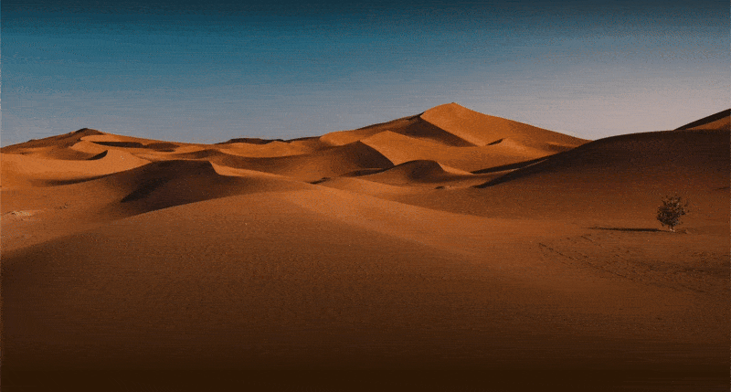 Air DesertJourneysinDubaiandAbuDhabiAwayExpedition GoogleChrome ezgif.com optimize Pixel Drop